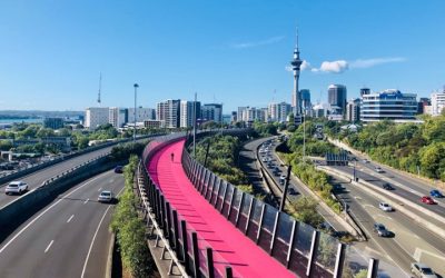 Government support for businesses in the Auckland region